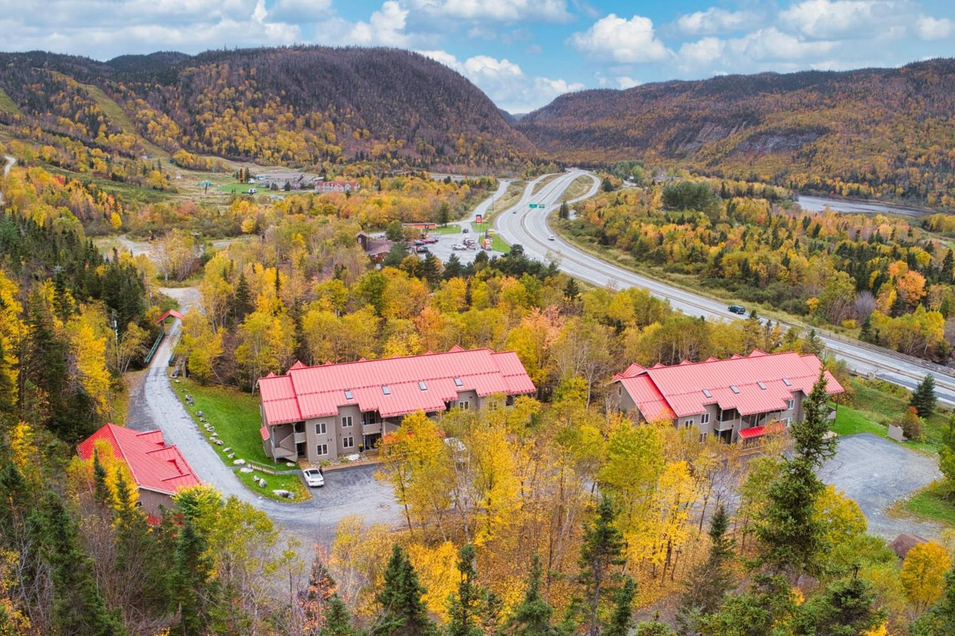 Marblewood Village Resort Steady Brook Bagian luar foto