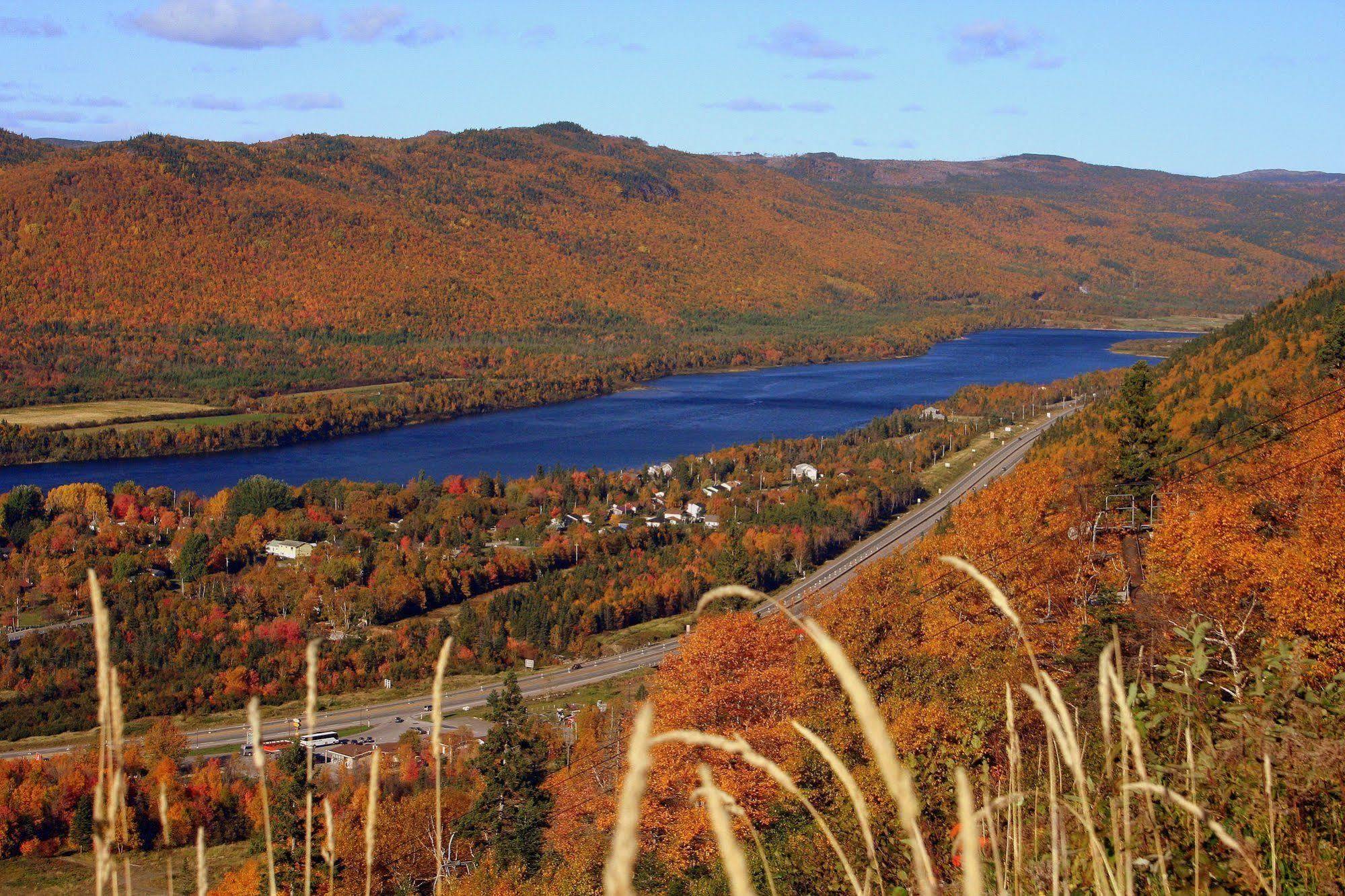 Marblewood Village Resort Steady Brook Bagian luar foto