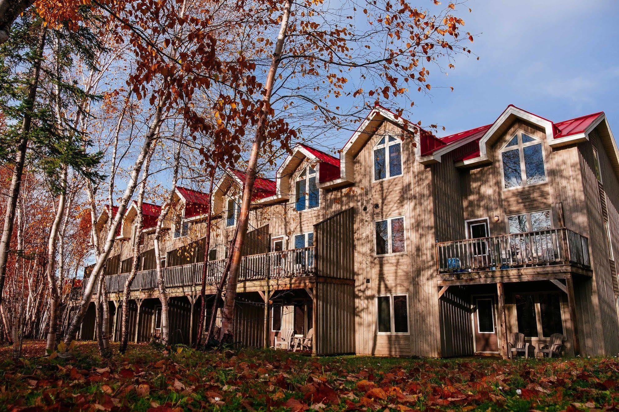 Marblewood Village Resort Steady Brook Bagian luar foto